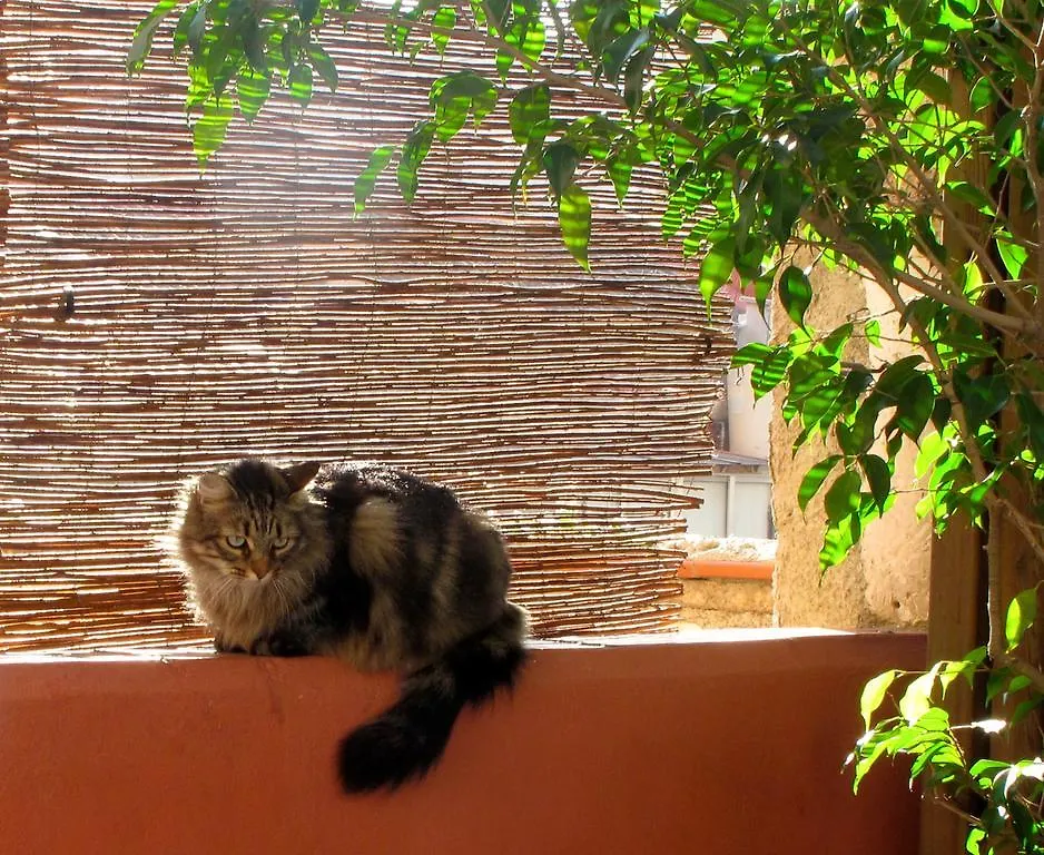 Hostal Poblenou Barcelona Bed & Breakfast